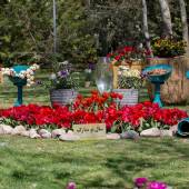 Isfahan Flower Garden