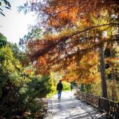Isfahan Flower Garden