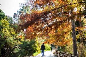 Isfahan Flower Garden