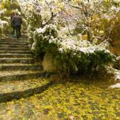 Jamshidieh Stone Garden - Tehran