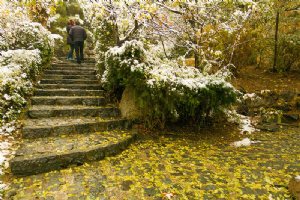 Jamshidieh Stone Garden - Tehran