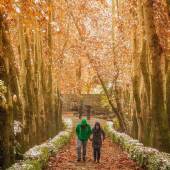Jamshidieh Stone Garden - Tehran