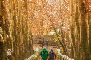 Jamshidieh Stone Garden - Tehran