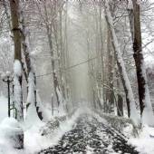 Jamshidieh Stone Garden in winter - Tehran