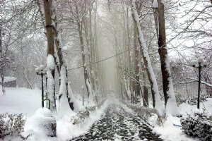 Jamshidieh Stone Garden in winter - Tehran