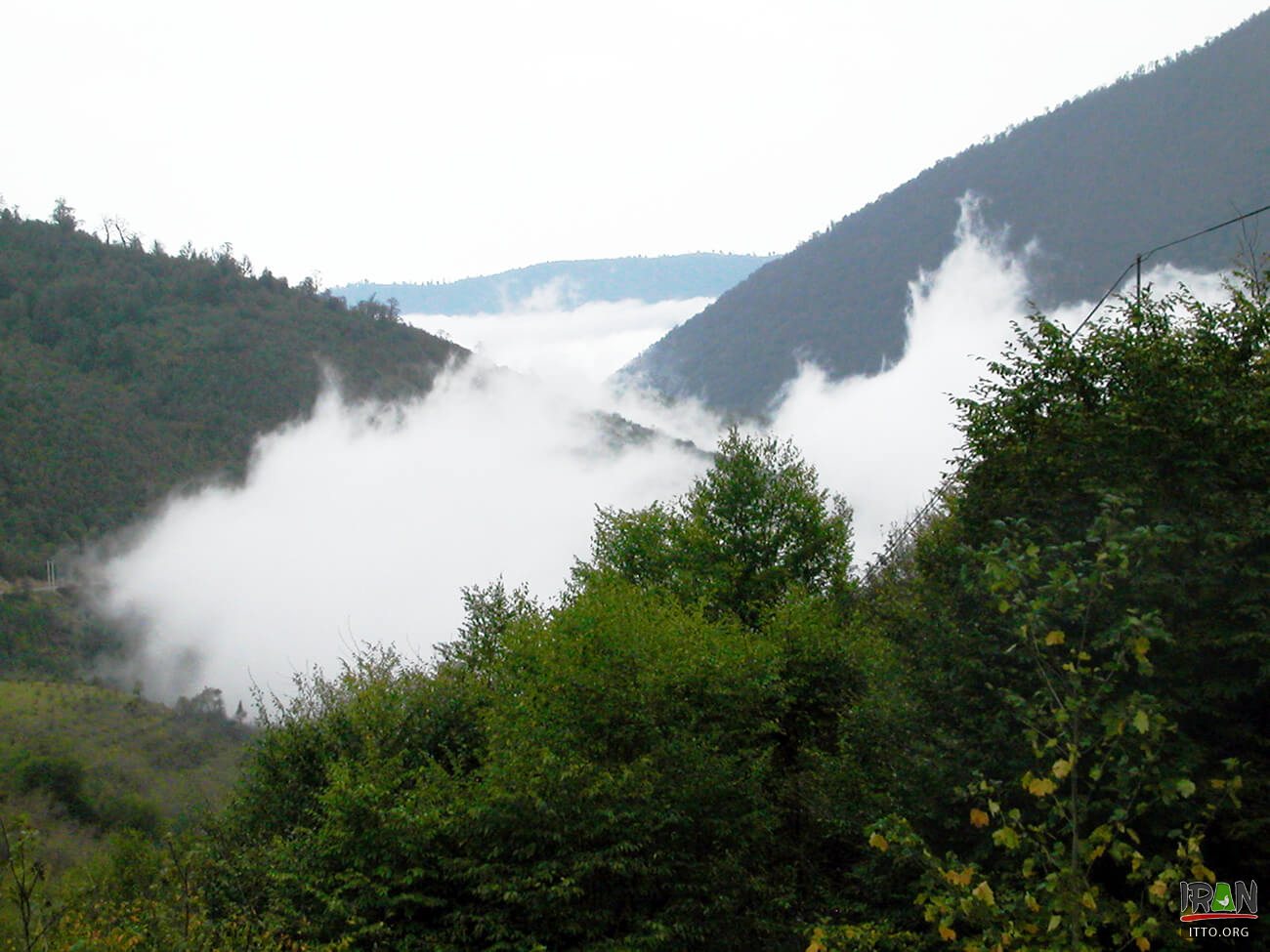 Javaherdeh Village,javaaherdeh,javaherdeh village,روستای جواهرده,ramsar,mazandaran province,استان مازندران,رامسر,روستای مازندران,جورده,جوئرده,joerdeh,jowerdeh,joverdeh,jawaaher village,صفارود,safa rood,safarood,هیرکانی,hirkani