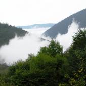 Javaher-deh Hyrcanian Forests