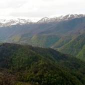 JavaherDeh - Ramsar - Mazandaran