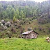 Javaher Deh near Ramsar - Mazandaran
