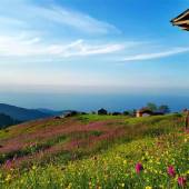 JavaherDeh village - Ramsar