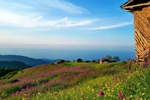 JavaherDeh village - Ramsar