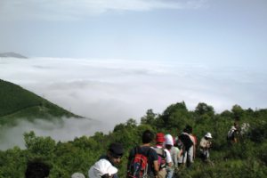 Abr Forest - Shahrud - Semnan Province