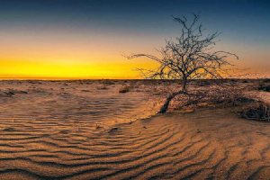 Maranjab Desert - Aran va Bidgol