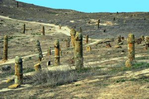Khalid Nabi Cemetery (near Gonbad Kavous)