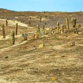 Khalid Nabi Cemetery (near Gonbad Kavous)