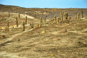 Khalid Nabi Cemetery (near Gonbad Kavous)