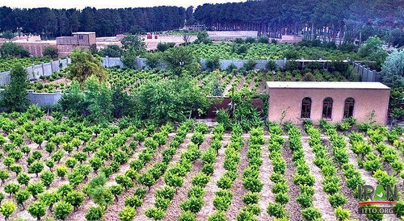 Khalilabaad,Khalilabad,خلیل آباد,خراسان رضوی