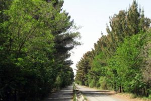 Khalilabad (Khalil Abaad)