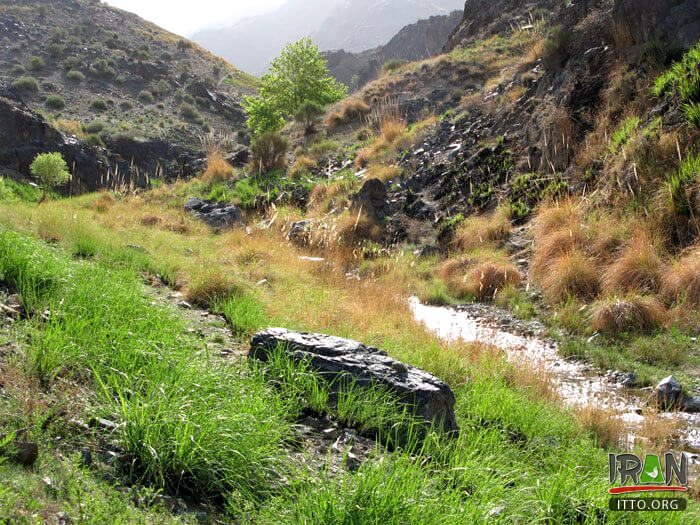 Khalilabaad,Khalilabad,خلیل آباد,خراسان رضوی