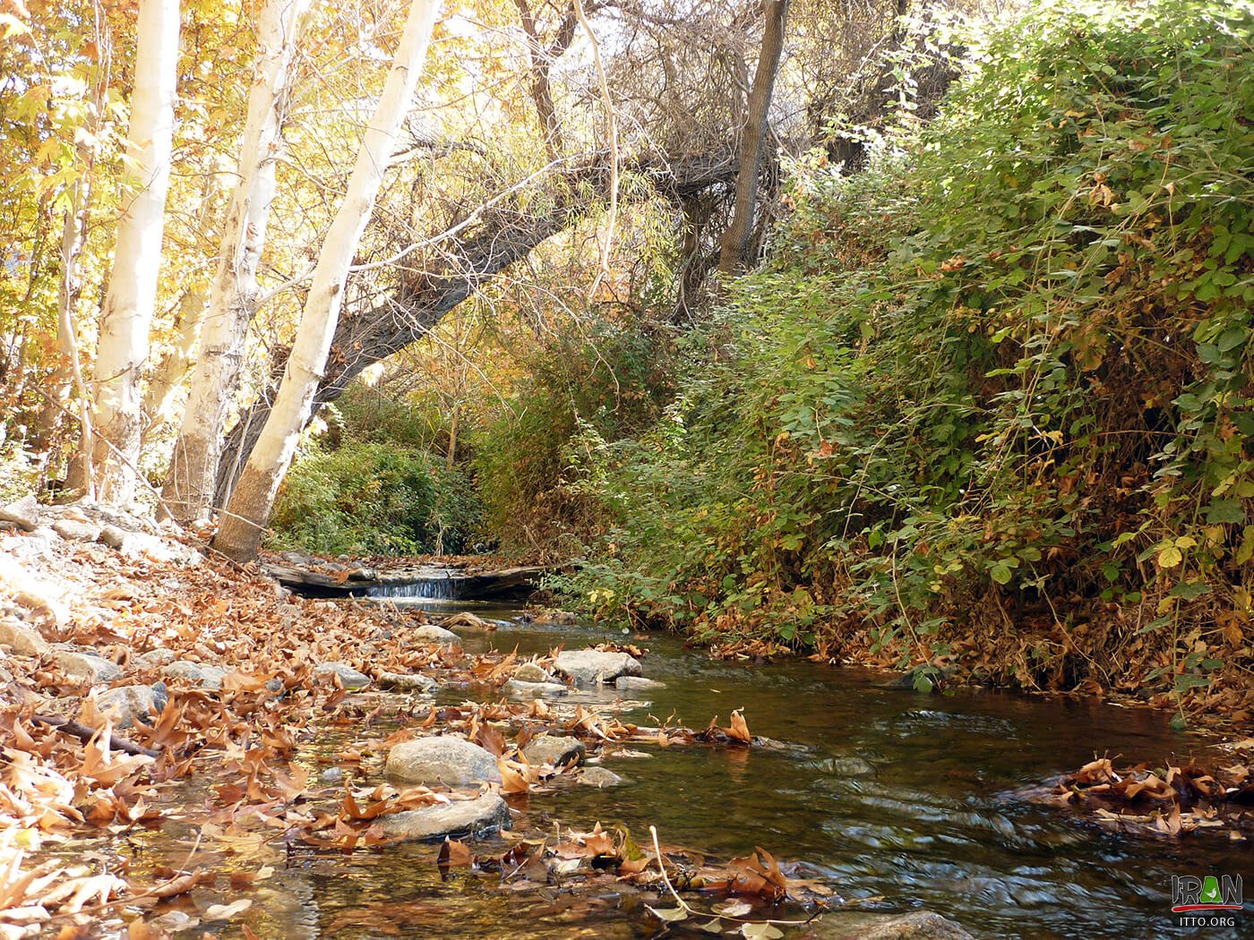 Khalilabaad,Khalilabad,خلیل آباد,خراسان رضوی