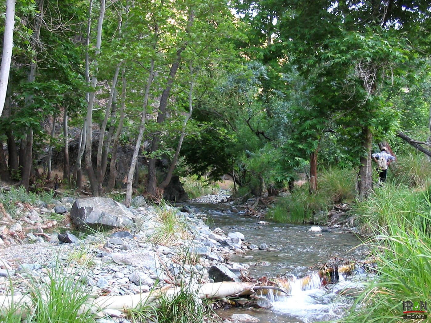 Khalilabaad,Khalilabad,خلیل آباد,خراسان رضوی