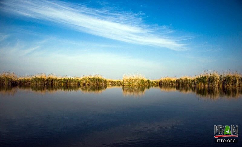 Hoor-ol-Azim Wetland,Hawizeh Marshes,Hoor-ol Hoveyzeh,Hoorolazim Protected Area,hurolazim wetland,تالاب هور العظیم,سوسنگرد,khuzestan,karkheh,hoveizeh,huweizeh,susanger,هویزه,خوزستان,کرخه,hur ol azim,hourolazim,horolazim,hor alazim wetland,Karkheh River,رودکرخه,رودخانه کرخه,هور بزرگ الهویزه,هور الهويزه