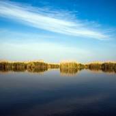 Hoorolazim Wetlands - Hoveyzeh (Khuzestan Province)