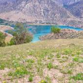 Zaras Village - Khuzestan Province