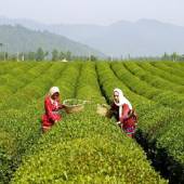 Gilan province: Iran’s comprehensive tourism plan