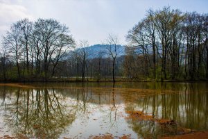 Lahijan - Gilan Province