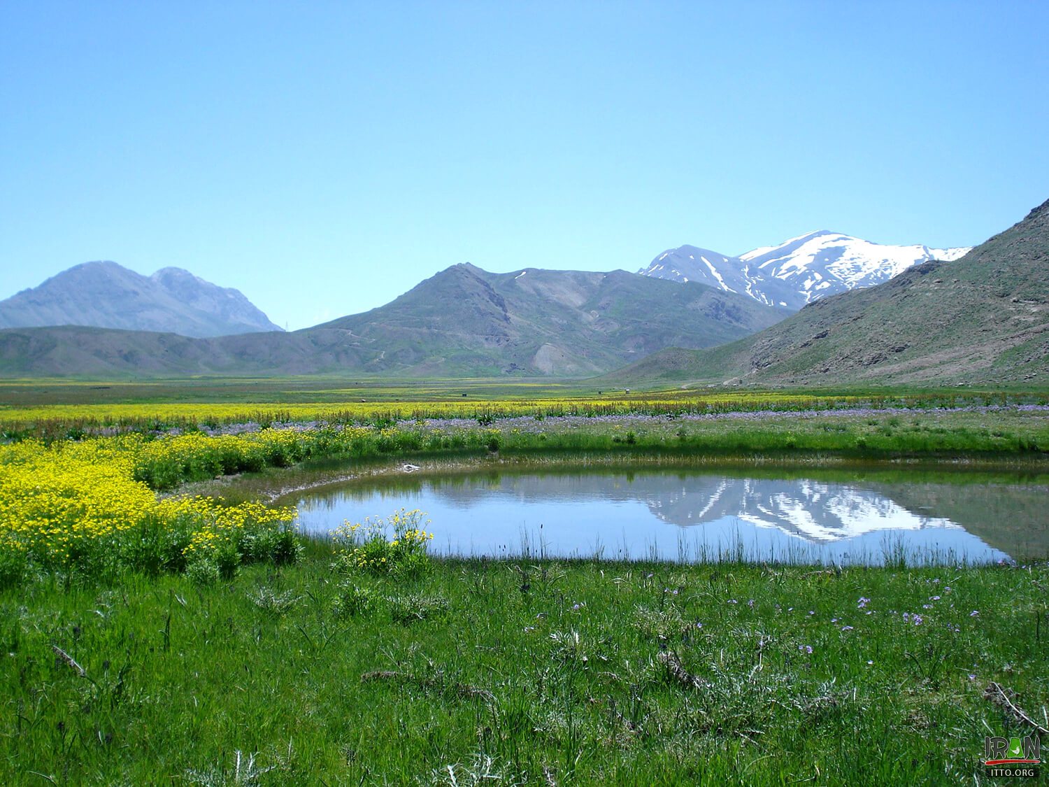 Laar National Park,Lar Mount,Damavand Mount,کوه لار,مازندران,آمل,laar mountain,lar mountain,damavand mountain