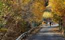 Lavasan (Lavasanat) - Tehran Province (Thumbnail)