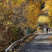 Lavasan (Lavasanat) - Tehran Province