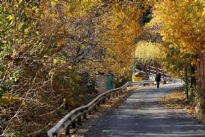 Lavasan (Lavasanat) - Tehran Province