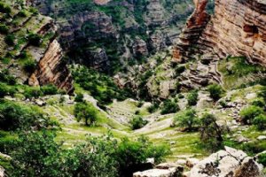 Shirz Canyon (Shirez Valley)