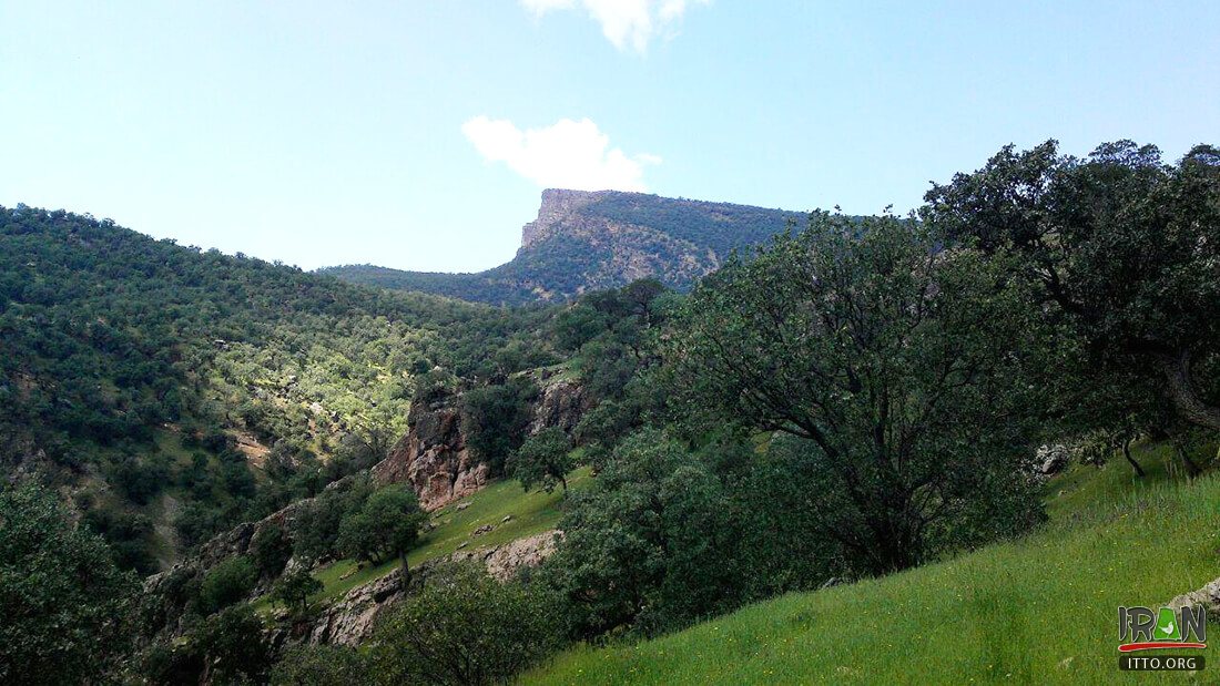 Kouhdasht, Kuh-e Dasht, Koohe Dasht,کوه دشت,لرستان,lorestan,kouhedasht,kohedasht,kohdasht,دره شیرز,تنگه شیرز کوهدشت,tangeh shirz,shirez