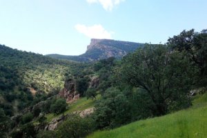 Shirz Canyon