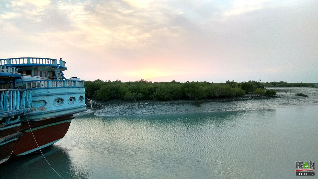 ,جنگلهای حرا قشم,grey mangrove,white mangrove,جزیره قشم,khalijfars,khalije fars,خلیج فارس,persiangulf,persian gulf,arabian gulf,hormozgan,hormuzgan,iran south,south of iran