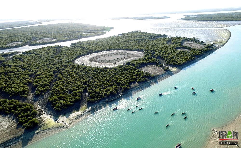 ,جنگلهای حرا قشم,grey mangrove,white mangrove,جزیره قشم,khalijfars,khalije fars,خلیج فارس,persiangulf,persian gulf,arabian gulf,hormozgan,hormuzgan,iran south,south of iran