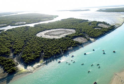 Hara Forest Protected Area in Qeshm Island