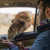 Maranjab Desert - Aran va Bidgol