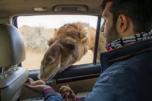 Maranjab Desert - Aran va Bidgol