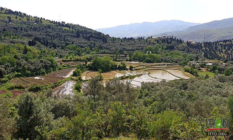 Marlik Archaeological Region,Maarlik Archaeological Site,Cheragh-Ali Tepe,Cheraghali Hill,رودبار,مارلیک,تپه مارلیک,marliktepe,marlik teppe,tappeh marlik,roudbar,gilan province,رودبار,استان گیلان,goharrud,gowhar rood,gowharrud
