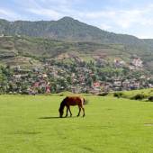 Olesbelangah Village - Masal (Gilan Province)