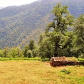 Olesbelangah Village - Masal (Gilan Province)