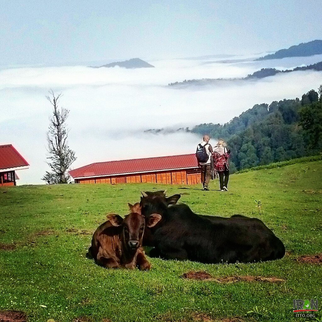 Masal heights,Olesbelangah,Olasbelangah Village,Ulsblangah,masaal,masal,fouman,fooman,ماسال,اولسبلانگا,السبلانگاه,ییلاق اولسبلانگاه,طبیعت استان گیلان,اقیانوس ابر,clouds,The Village above the Clouds,iran above the clouds,guilan,gilan province,north of iran,شمال ایران,gilavan,gilvan,گیلوان,gilvan road,gilvan masal road,gilavan masal road,اولسبلنگا,اولسبالانگاه,کوههای ماسال,ارتفاعات ماسال,طبیعت ماسال,طبیعت گیلان,iran natural attraction,اولسبلانکا,اولاسبلانکا