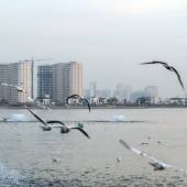 Chitgar Lake (Khalij-e Fars) - Tehran