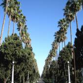 Moalem Boulevard - Ramsar Hotel
