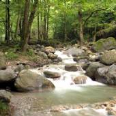 Javaher Deh rivers near Ramsar
