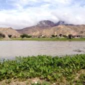 Nature of Bastak - Hormozgan Province